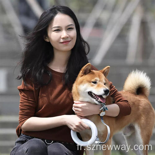 Laisse de chien rétractable de Xiaomi Moestar 2.6m